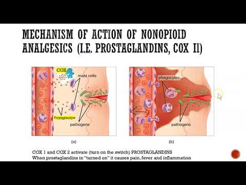 NBDHE - DENTAL HYGIENE BOARD EXAM REVIEW: Everything you need to know about pharmacology (Part 2)