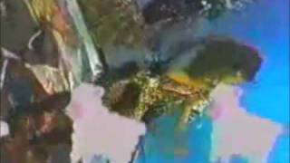 Gloria Trevi - &quot;Los Borregos&quot;  en Para Gente Grande (1993)