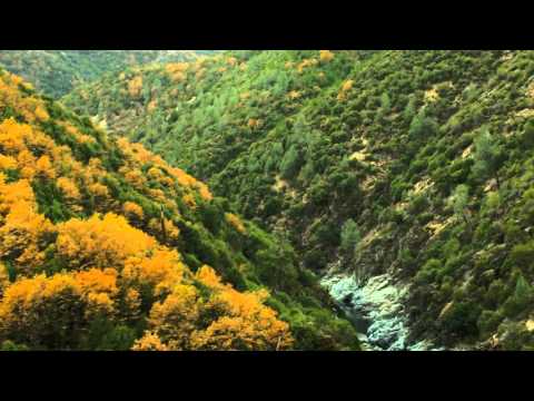 Sevensensis - Forever