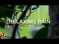 10 Hour | Rain Sounds for Sleep | Meditation | Study | Focus | Spa | Calming Background Ambience
