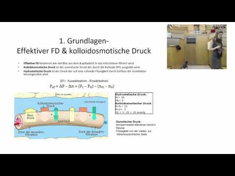Block 4-Tutorium RotesBlutbild (2016)