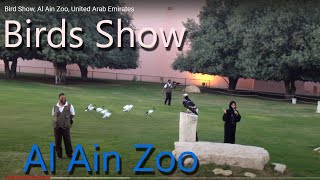 preview picture of video 'Bird Show, Al Ain Zoo, United Arab Emirates'