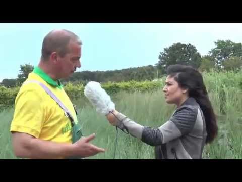 Gärtner Sönke - Folge 7: Pampasgras