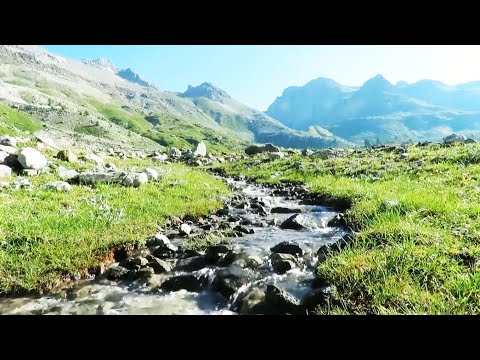 La Source sacrée - musique de relaxation, harmonisation, zen, ruisseau de montagne (F. Amathy)
