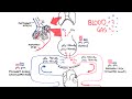 Blood Gases O2 CO2 And ABG