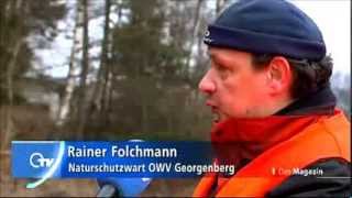preview picture of video 'Amphibienzaunaufstellung in Georgenberg OWV Georgenberg'