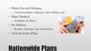 Pet Insurance