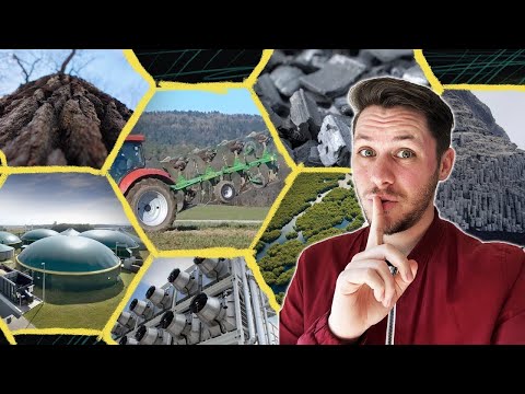 Warum in der Klimabewegung niemand über negative Emissionen spricht