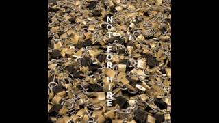 Liquid Architecture – Not For Hire (Animal Machine Remix)