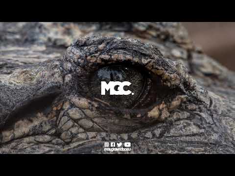 Crocodile - Top Shelf (Marquini ft. Whethan)