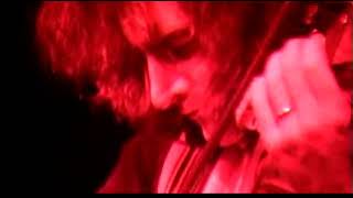 Some Summers They Drop Like Flies Live ca1999