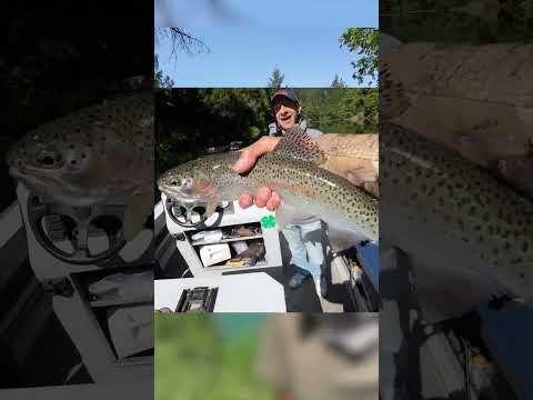 Bullards Bar Reservoir Fishing Report | May 30, 2025 video