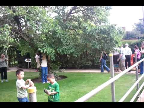 download lagu mp3 mp4 Anne Hathaways Cottage Ashland, download lagu Anne Hathaways Cottage Ashland gratis, unduh video klip Anne Hathaways Cottage Ashland