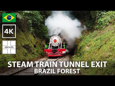 Steam Train in TUNNEL TRAIN EXIT [South of Brazil] 4K Touristic Train