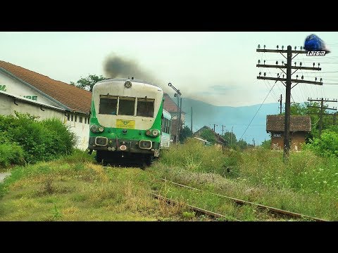 R15807 Vașcău-Ștei-Beiuș-Holod & Mecanic Super Engineer in Gara Beiuș Station - 26 July 2019