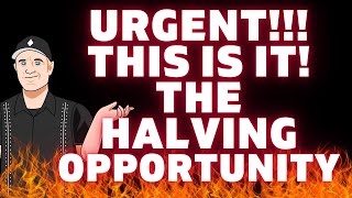 URGENT ⛔️ BITCOIN HALVING UPDATE 🔥🚀 LOADED THE BOAT ON THIS ONE 🤑 TOP CRYPTO TO BUY NOW