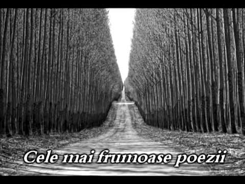 Vis şi căutare - Alexandru Philippide | Cele mai frumoase poezii