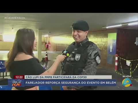 CIDADE EM AÇÃO - Cão farejador da PM da Paraíba vai reforçar segurança na COP30 em Belém
