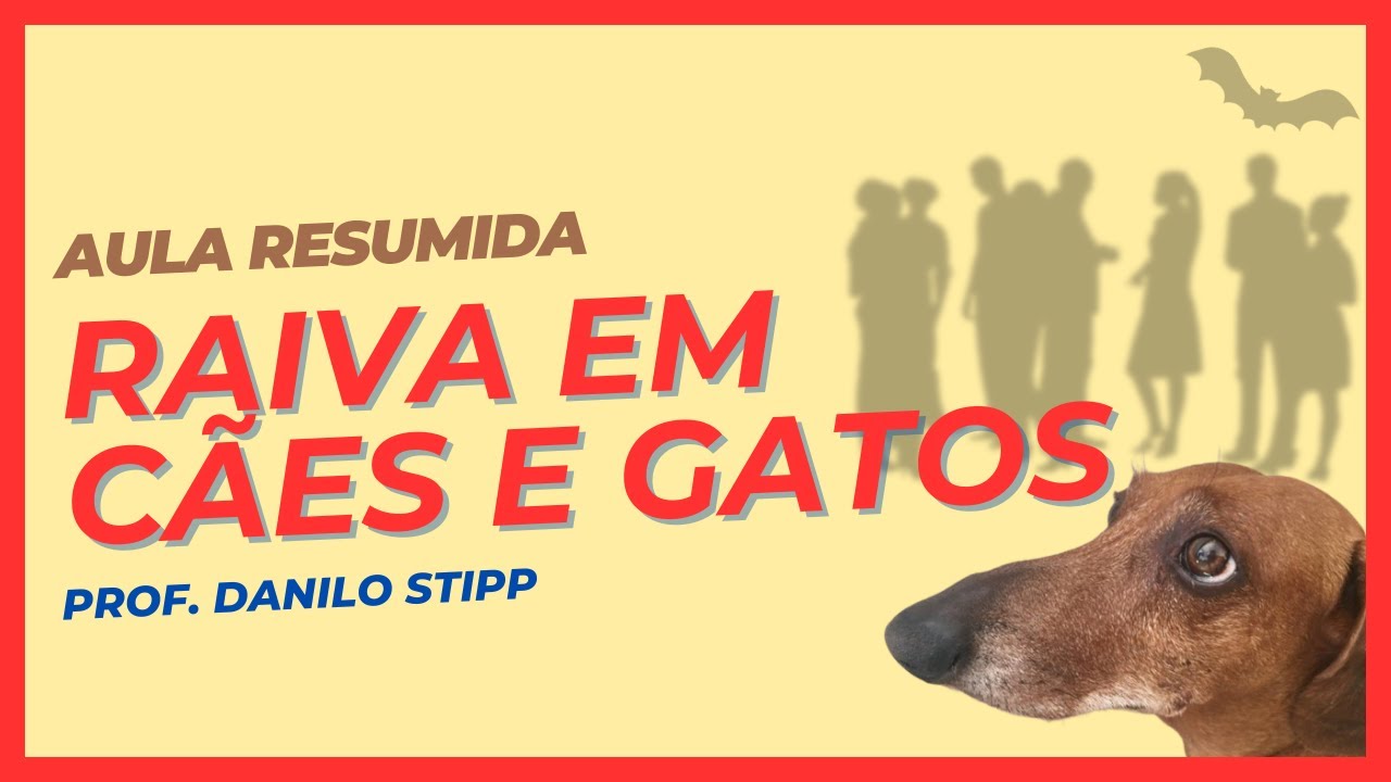 Raiva em Cães e Gatos - AtualizaVet