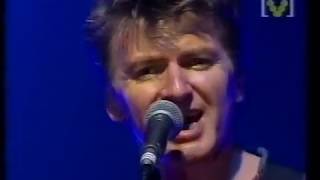 Neil Finn DREAM DATE 1998 Festival Hall