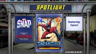 Tarantula Community Spotlight | ft. @tuccrr