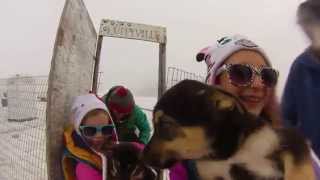 preview picture of video 'Gopro Helicopter Ride and Dog Sledding in Skagway Alaska'