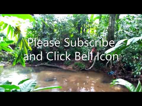 Travel with NAVITHA LOCHANA ep-01 ( Navai , Pasai )