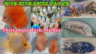 অনেক রকমের রঙিন মাছ শ্রীরামপুরের হাটে | Serampore Fish Pet Market | Serampore Fish Shop |Fish Market