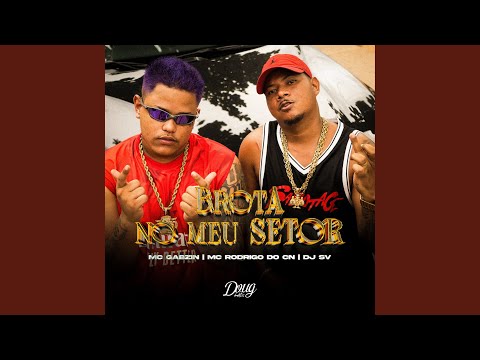 Brota no Meu Setor (Ai Que Saudade Que Eu Tava)