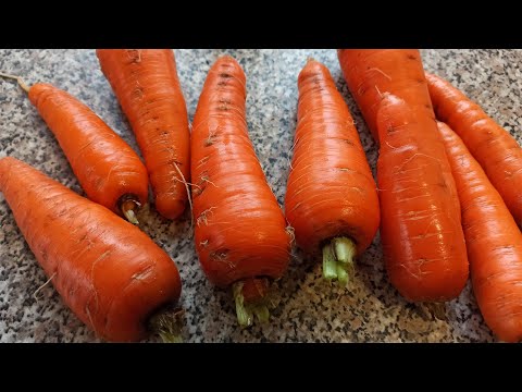 , title : 'Лучшая морковь Балтимор f1 описание сорта и отзыв'