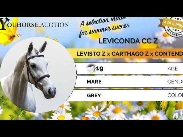 Leviconda CC Z