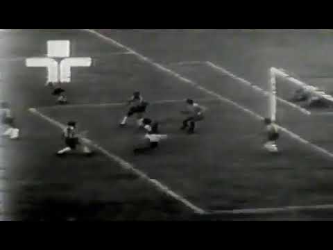 Cabinho (Portuguesa) - 13/11/1971 - Portuguesa 1x0 América-MG - 1 gol