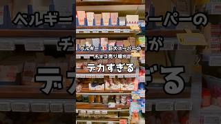これ全部チョコです。ベルギーのスーパーが凄すぎた🍫#shorts #お土産 #雑学