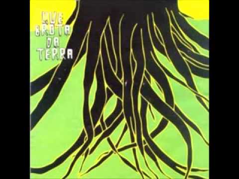 Planta e raiz com certeza