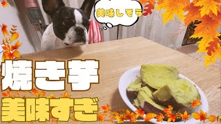 今年もやばい🍠