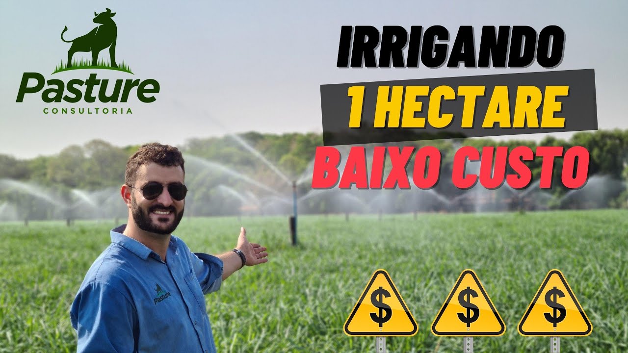 ESSE É O JEITO MAIS BARATO DE VOCÊ IRRIGAR 1 HECTARE DE PASTO