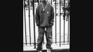 Big L-Big picture (intro) prod. by DJ Premier