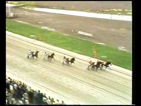 Elitloppet 1980 - The Elimination Heats