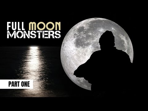 Pecky's Session of a Lifetime, Part 1 of 2 | Trois Iles | Extract