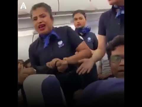 ✈️ Flight Fight! What really happened on that Indigo plane?