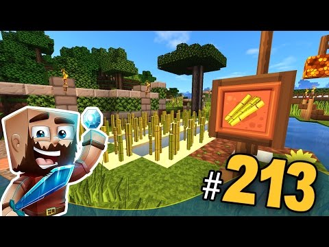 Minecraft Let's Play Ep.213 | Ferma de Trestie Decorativa