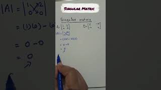 Singular Matrix Explained
