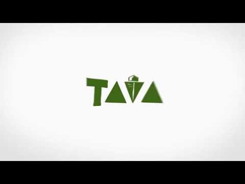 🔥T.O.P. IS WHERE YOU WANT TO BE IN TAVA!💯💎  #Tava #TavaNation #TeamOfPossibilities #ClavonBrowning