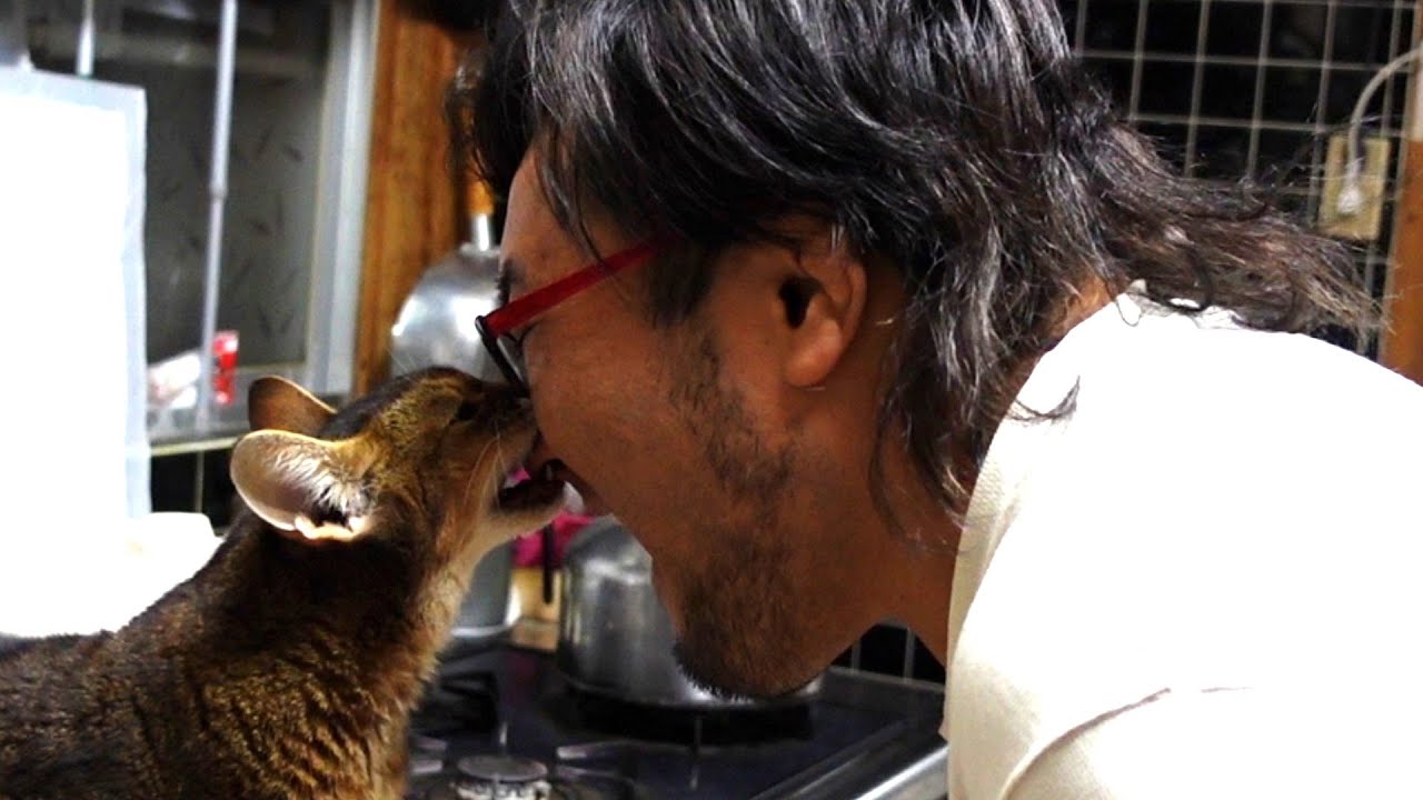 【5年目】猫に新年の挨拶したら噛まれる男【2026年】