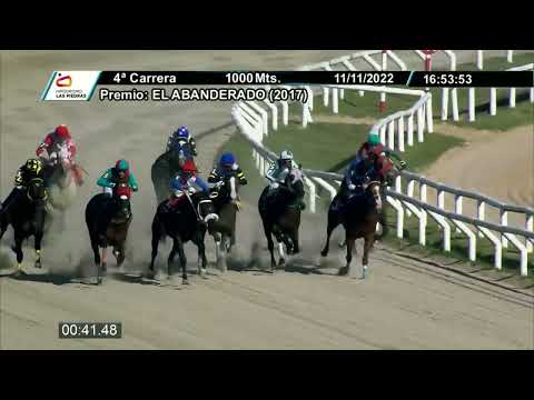 221111 c04 - DHARA - HIPODROMO LAS PIEDRAS