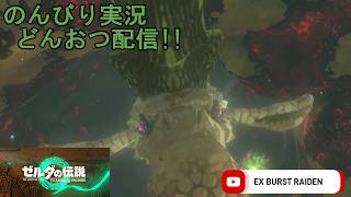 どんおつ配信「ゼルダの伝説 ティアーズオブザキングダム」21