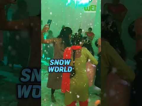 Event Highlights