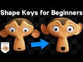 Shape Keys For Beginners Blender Tutorial