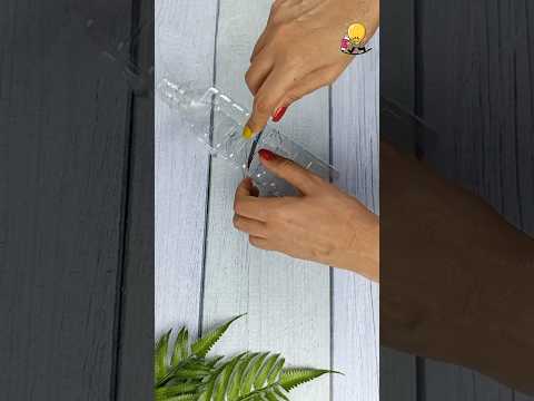 Most Amazing Way to reuse Plastic bottle | #short #shorts #ticktock#DIY #plasticbottlecraft