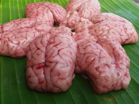 download lagu mp3 mp4 Goat Brain Soup, download lagu Goat Brain Soup gratis, unduh video klip Goat Brain Soup